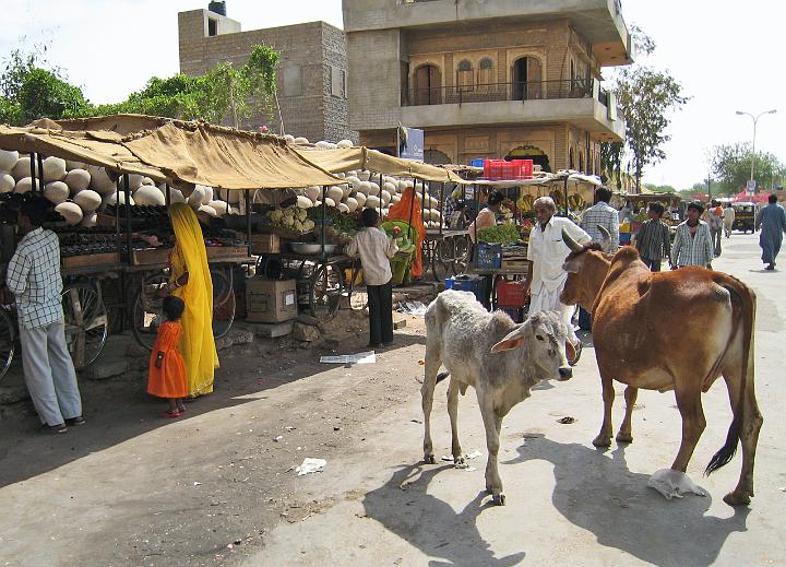 jaisalmer053.JPG