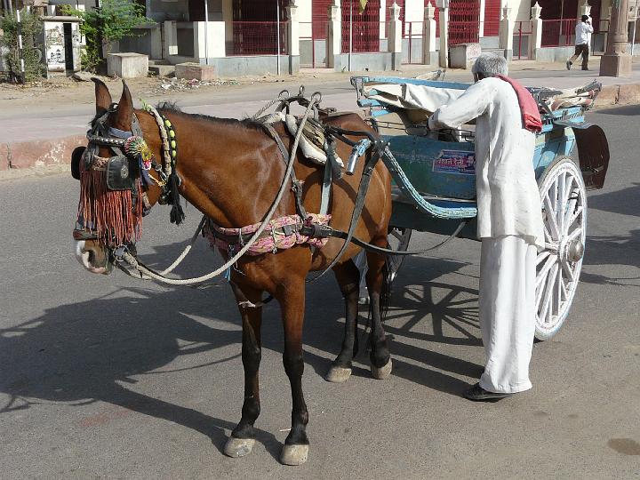 promenadejaisalmer459.JPG