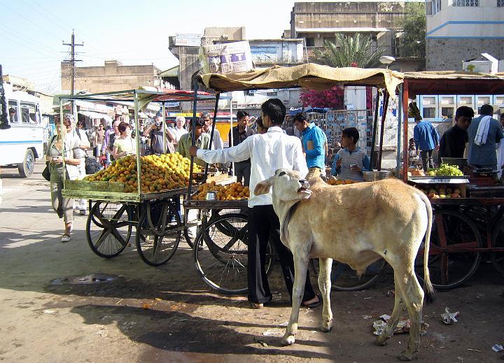 ranakpur103.JPG