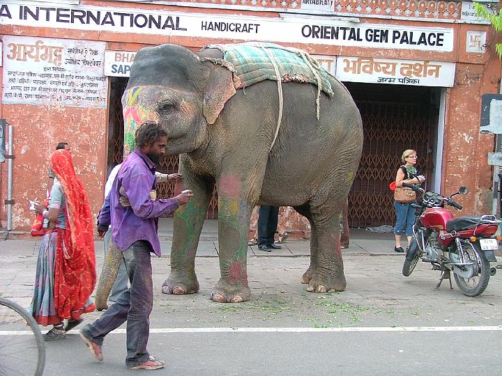 jaipurbazar471.jpg